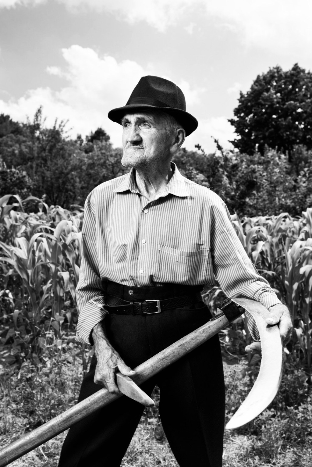 Sugar Beets, Melons, Walnuts Oh&nbsp;My!