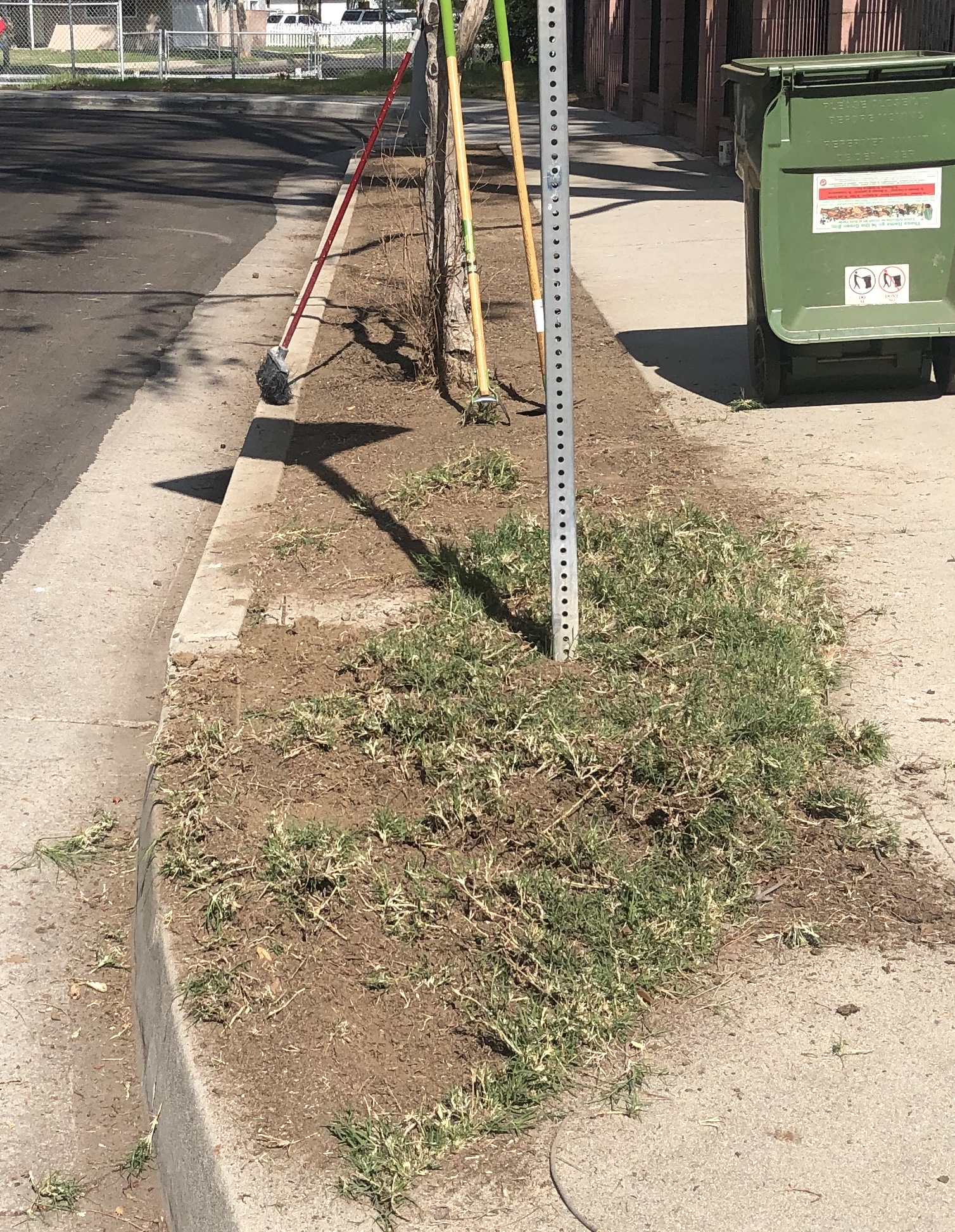 Parkway in City of Los Angeles landscaping beautification
