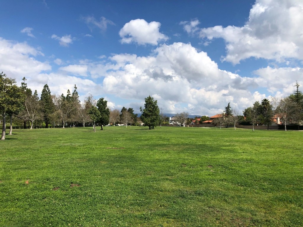 Once Upon A Time…The Lazy J Ranch&nbsp;Story