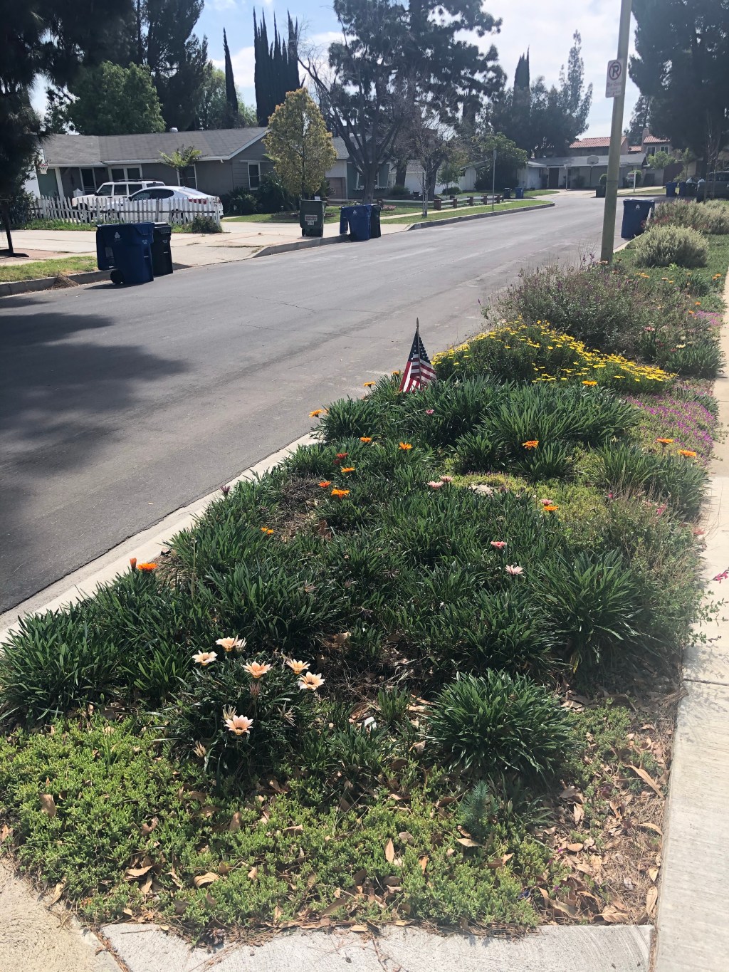 Tips on Beautifying Your&nbsp;Parkway